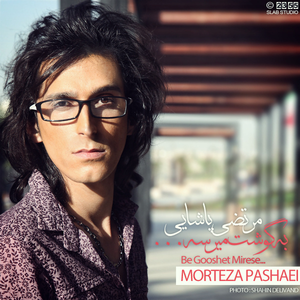 مرتضی پاشایی - به گوشت می رسه
