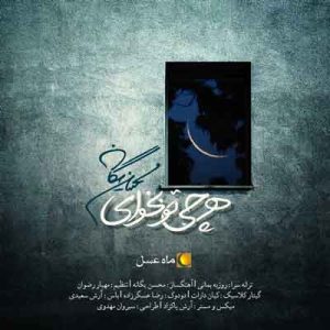 محسن یگانه ماه عسل