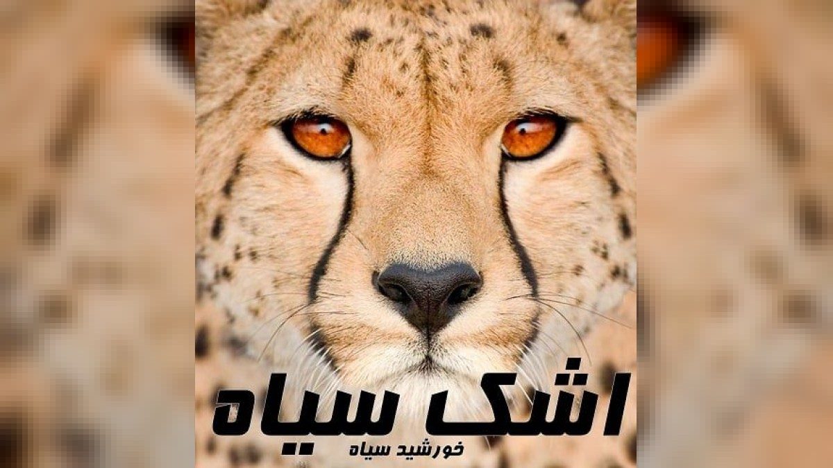 گروه خورشید سیاه