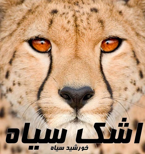 آهنگ جدید  با کیفیت بالا