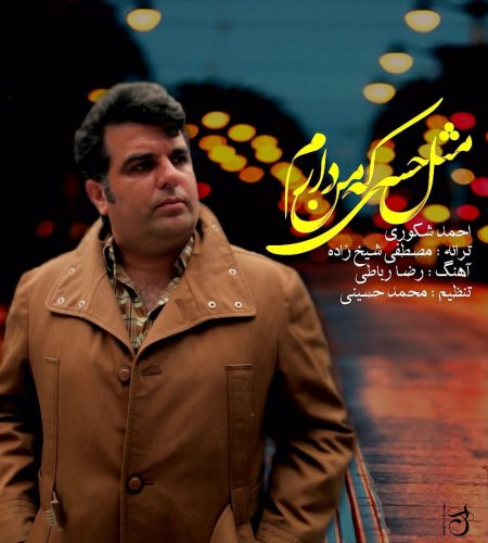 آهنگ جدید  با کیفیت بالا