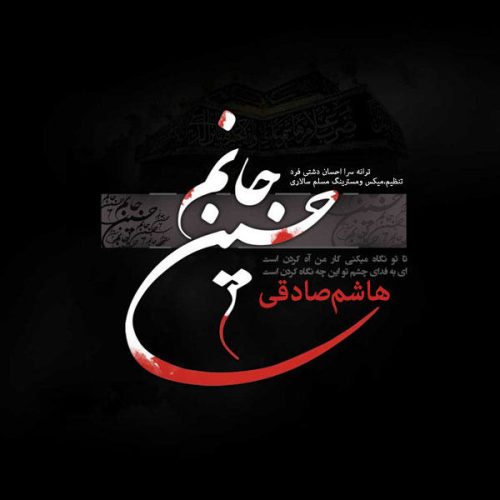 هاشم صادقی جانم حسین