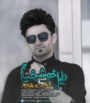 کاور آهنگ دلیل خوشبختیم از شاهین جمشیدپور