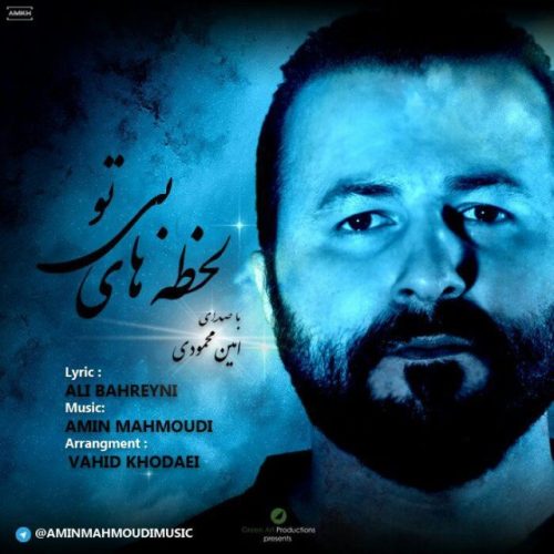 امین محمودی