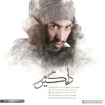 کاور آهنگ دلگیرم از احمدرضا شهریاری