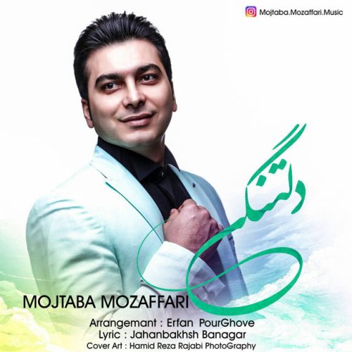 مجتبی مظفری