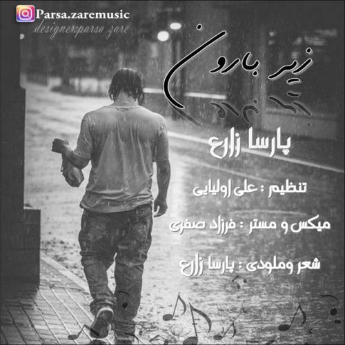پارسا زارع