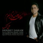 کاور آهنگ دوست دارم از علی تک