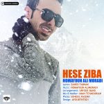کاور آهنگ  حس زیبا از همایون علیمرادی