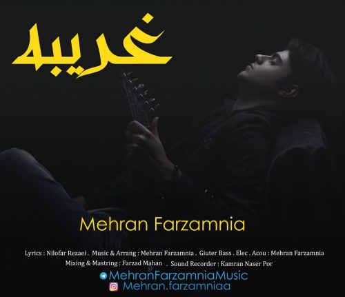 مهران فرزام نیا