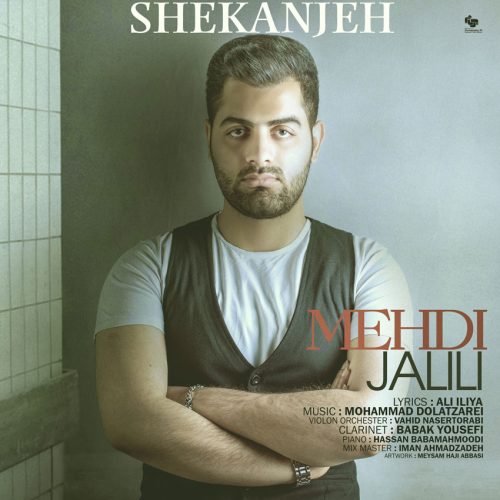 مهدی جلیلی