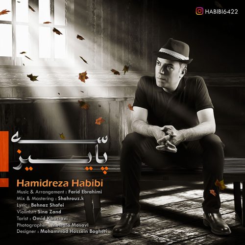 حمیدرضا حبیبی