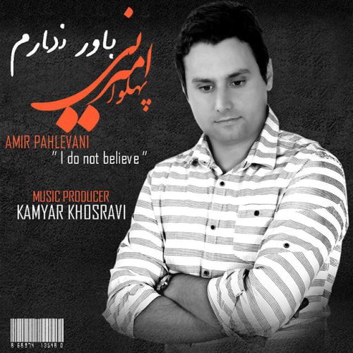 امیر پهلوانی