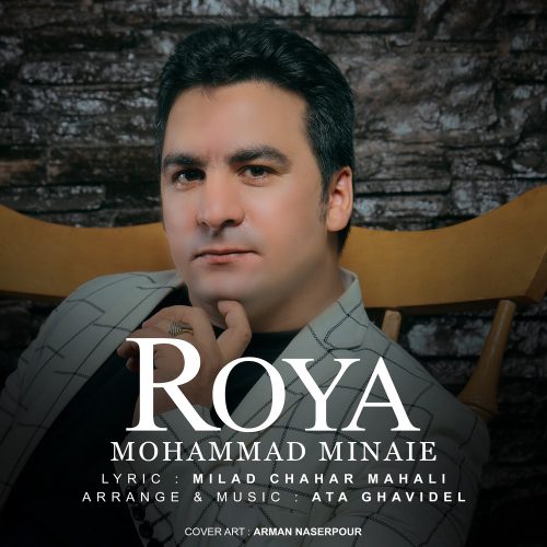 محمد مینایی