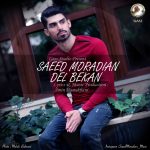 کاور آهنگ دل بکن از سعید مرادیان