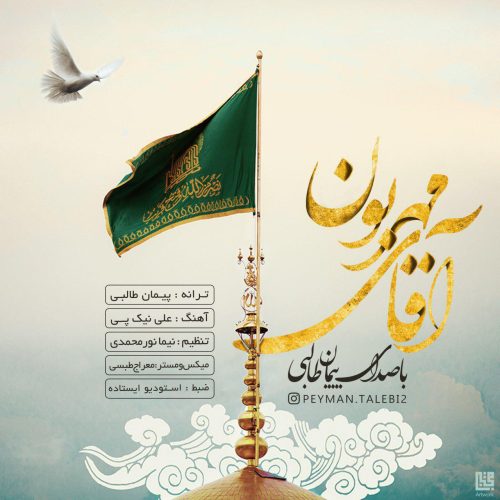 پیمان طالبی