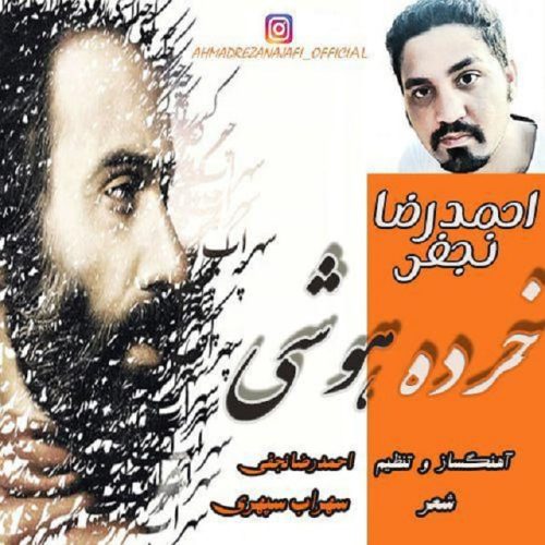 احمدرضا نجفی خرده هوشی