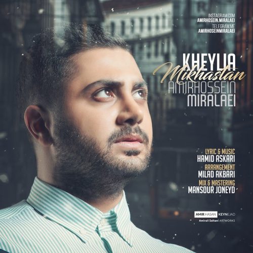 امیرحسین میرعلایی