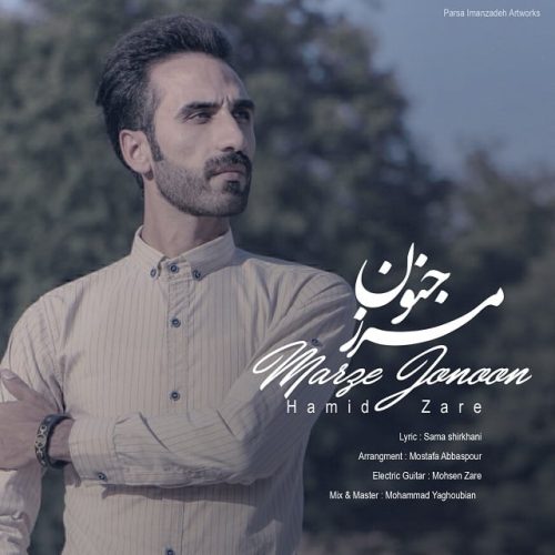 حمید زارع مرز جنون