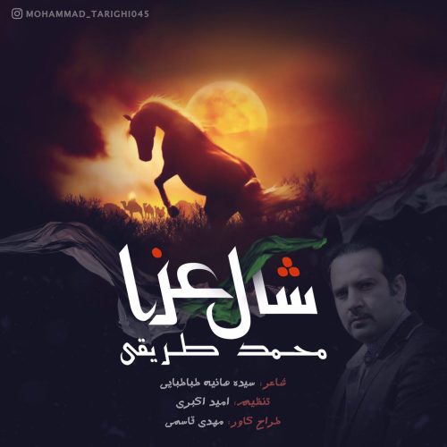 محمد طریقی شال عزا
