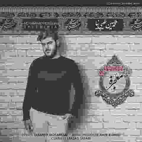 محمد حسین طیبی نیا