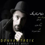 کاور آهنگ دنیای تاریک از سهیل اصلی