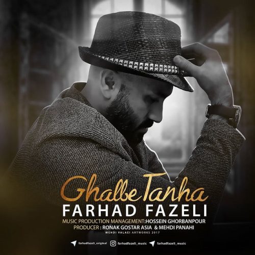 فرهاد فاضلی قلب تنها