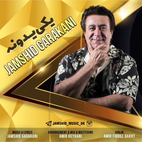 جمشید گرکانی یکی یدونه