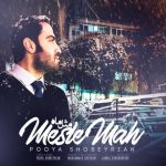 کاور آهنگ مثل ماه از پویا شبیریان