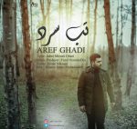 کاور آهنگ تب سرد از عارف قادی