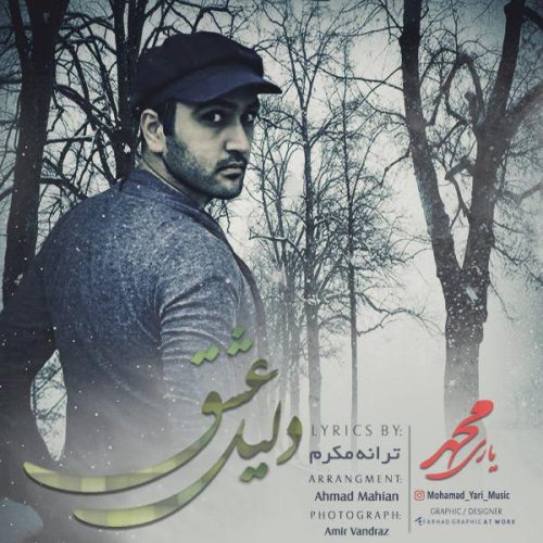 محمد یاری دلیل عشق