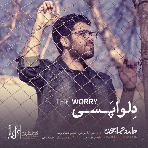 حامد همایون دلواپسی