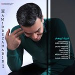 کاور آهنگ شریک آرزوهام از حمیدرضا حبیبی