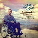 مجتبی فغانی دل نمیکنم