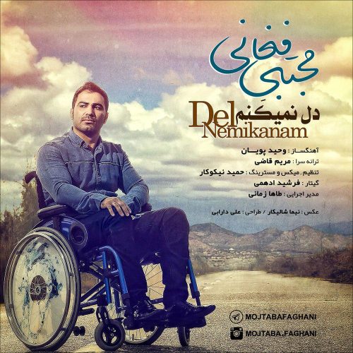 مجتبی فغانی