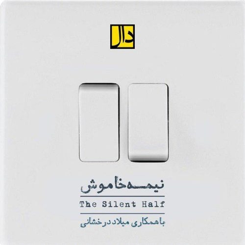گروه دال نیمه خاموش