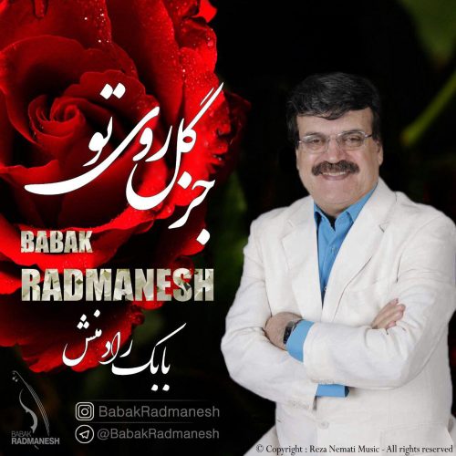 بابک رادمنش جز گل روی تو