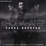کاور آهنگ خداحافظ از پاشا هوشیار