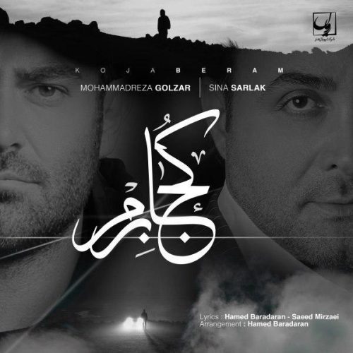 محمدرضا گلزار و سینا سرلک کجا برم