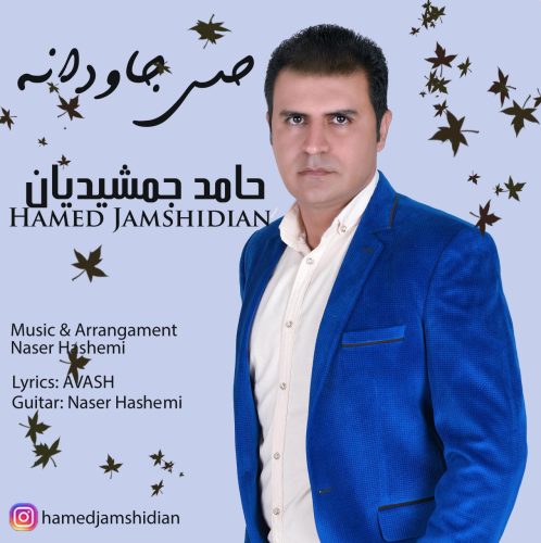 حامد جمشیدیان حس جاودانه