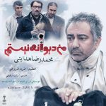 کاور آهنگ من دیوانه نیستم از محمدرضا هدایتی