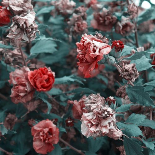 آهنگ جدید  با کیفیت بالا
