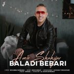 کاور آهنگ بلدی ببری از امیر شهیار