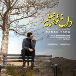 کاور آهنگ داغ تو رو نبینم از حامد طاها