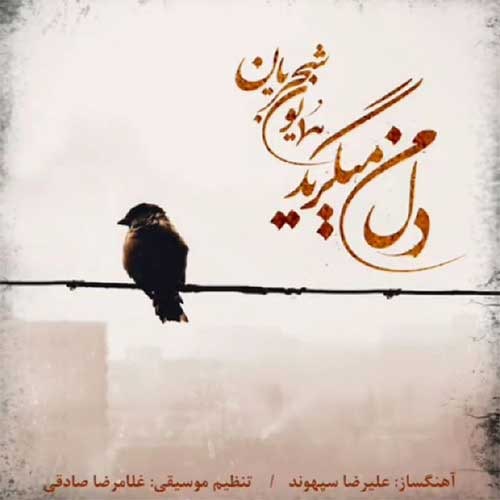 آهنگ جدید  با کیفیت بالا