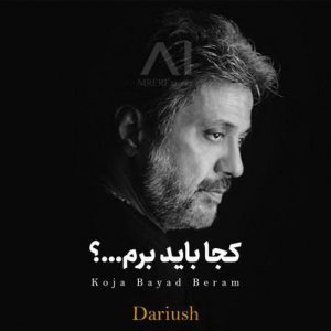 داریوش کجا باید برم ( هوش مصنوعی )