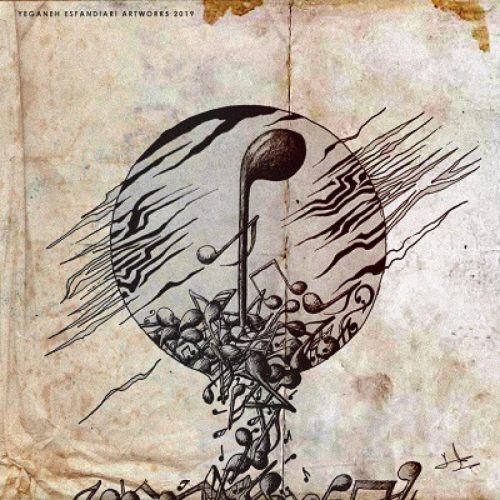 فرشاد - نُت سیاه
