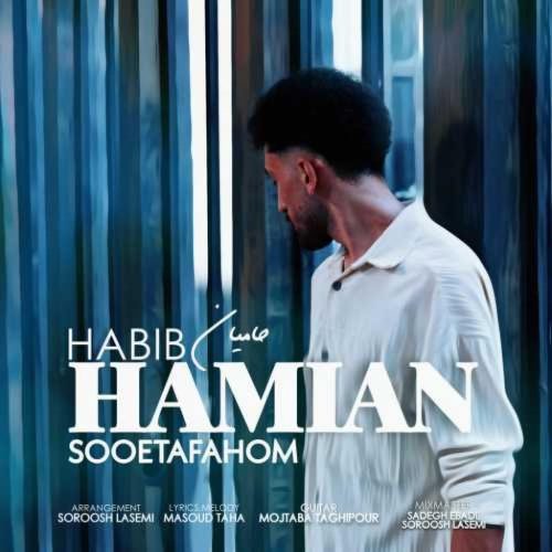حبیب حامیان - سو تفاهم