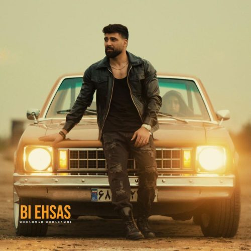 محمد محرمی - بی احساس