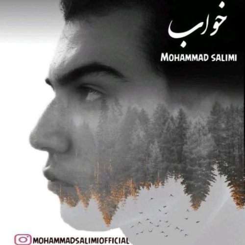 محمد سلیمی - خواب